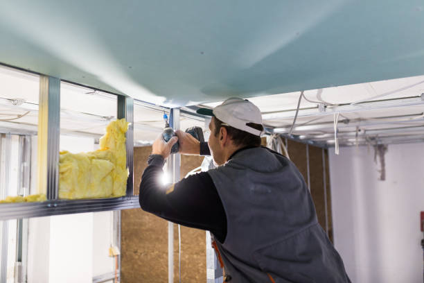 Best Types of Insulation in Minot, ND